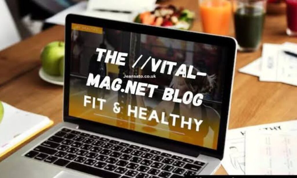 Type of Content on the //vital-mag.net Blog