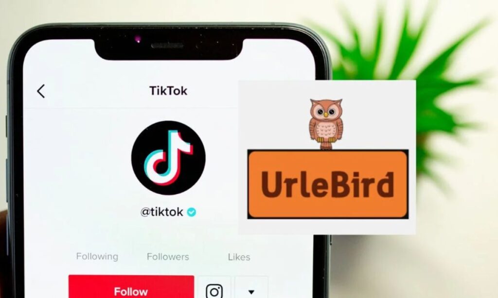 Urlebird: The TikTok Viewer Alternative